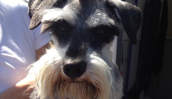 Man's Best Friend Dog Grooming - Strathfieldsaye, VIC