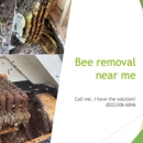 Raul The Bees Guy - Bee Control & Removal Service