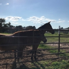 Rockin H Ranch Boarding and Training Facility