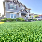 Beyond Grass