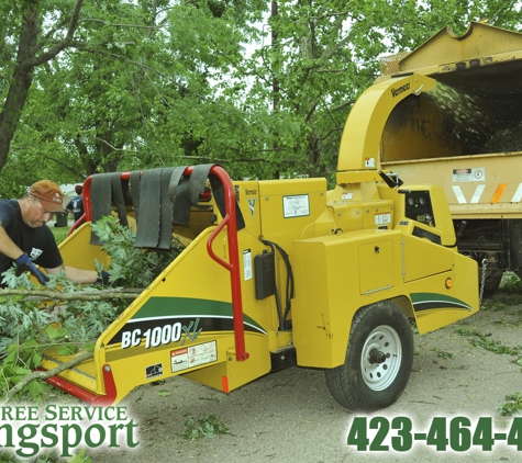 Tree Service Kingsport - Kingsport, TN