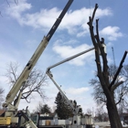 Clapper Crane & Tree Services