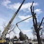 Clapper Crane & Tree Services