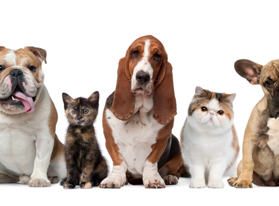 Longford Park Boarding Kennels - Longford, TAS. Caring For All Your Pet Needs