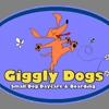 Giggly Dogs Small Dog Daycare & Boarding gallery