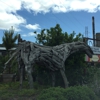 C & L Native Plant Nursery gallery