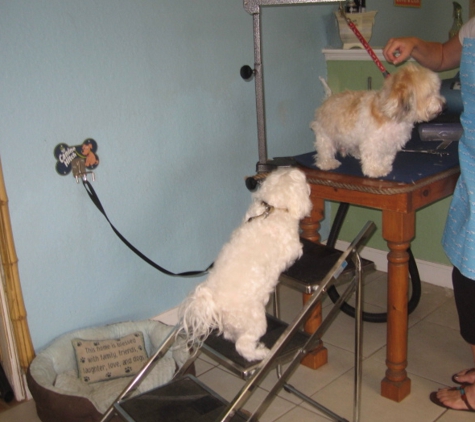 Barkley's Do It Yourself Dog Wash & Professional Groom Spa - North Palm Beach, FL