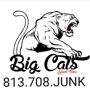 Big Cat Buys Cars