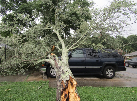 Pro Tree Service - Chattanooga, TN