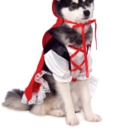 Costume Boutique - Costumes