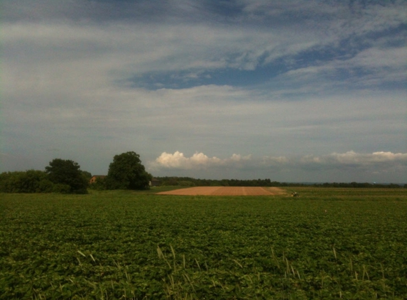 Sunny Hill Farm - Suamico, WI