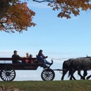 Fantail Farm LLC - Horse & Carriage-Rental