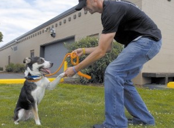 F.I.D.O.  Finishing Institute for Dog Ownership - Lancaster, OH