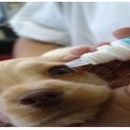 Menifee Valley Animal Clinic - Veterinarian Emergency Services
