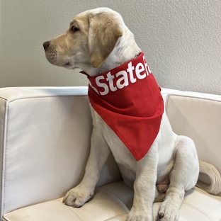 Lars Nielsen - State Farm Insurance Agent - Converse, TX