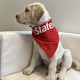 Connie Fenner - State Farm Insurance Agent