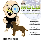 Mold Detective