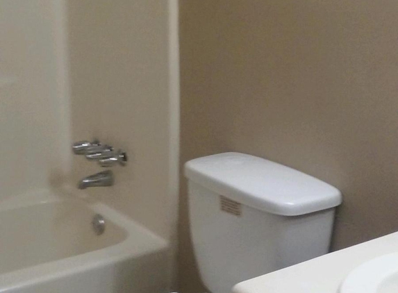 Karann Koncepts Cleans - Stone Mountain, GA. Bathrooms