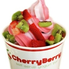 CherryBerry Frozen Yogurt Bar