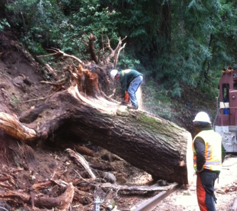 Christianson Tree Experts Co. - Boulder Creek, CA