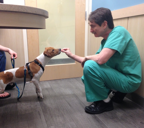 West Kendall Animal Hospital - Miami, FL. Dr. Davidson knows how to make friends with a nervous new patient.