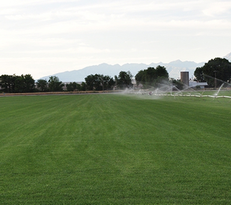 Emerald Turf - Payson, UT