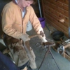 All Hoof Farrier Services gallery