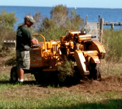 Affordable Stump Grinding - Monticello, FL