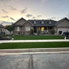 Purchase Green Artificial Grass