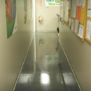 A Green Clean Paradigm - Janitorial Service