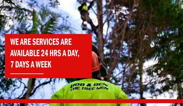 Bob and Ben the Tree Men - Kirrawee, NSW. We are services are available 24 hrs a day, 7 days a week.