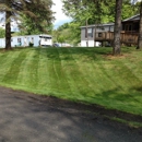 Seed to Weed Landscaping - Landscaping & Lawn Services