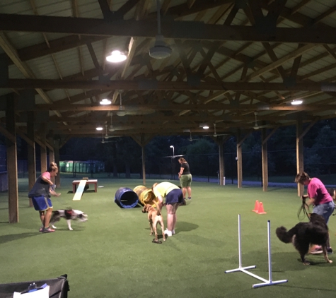 Pender Dog Training in Chantilly - Chantilly, VA