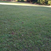 Gallery Image Number 2
