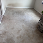 Tulip Carpet Cleaning of Arlington