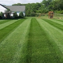 We Only Cut Grass Inc - Landscaping & Lawn Services