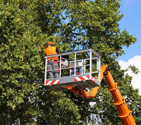 Twin Cities Tree Service