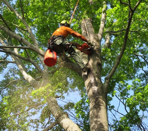 Lindbergh's Tree Service Greensboro - Greensboro, NC