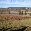 Chandler Hill Vineyards - Wineries