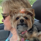 Pampered Pets of Jefferson County