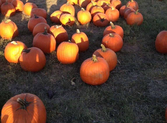 Pumpkin Town Farms - Tulsa, OK