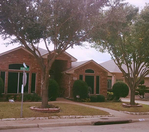 D & M Tree Service - Royse City, TX