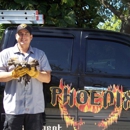 Phoenix Pest Management & Wildlife Control - Animal Removal Services