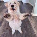Hearth & Hound - Pet Services