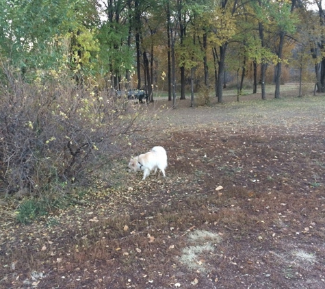 Bear Creek Dog Park - Colorado Springs, CO