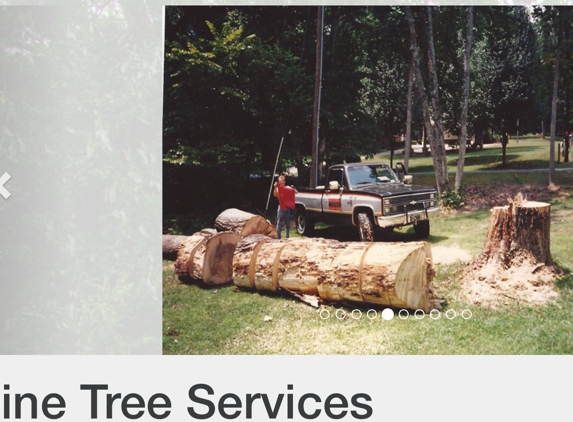 Alpine Tree Service