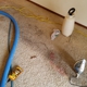 Johns Carpet Cleaning