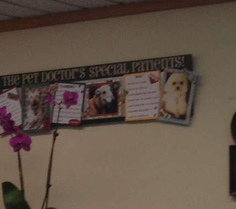 The Pet Doctor Inc - Lakewood, WA