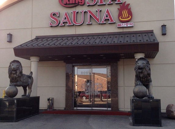 King Spa Sauna - Niles, IL
