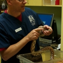 Avian And Exotic Animal Care - Pet Services